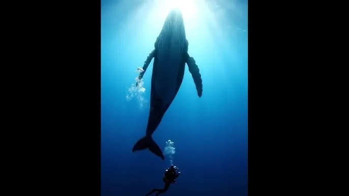 皇家共享小公主多男 - 深蓝星球：探索海洋深处的未知世界